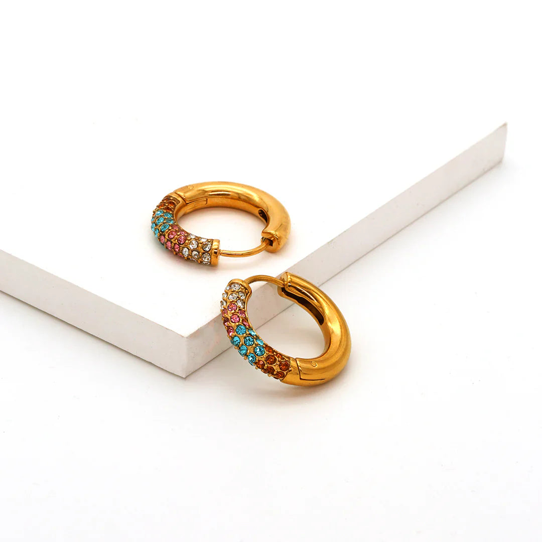 Sparkling Earrings