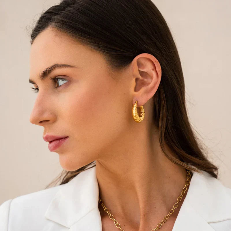 Twisted Hoops Earrings